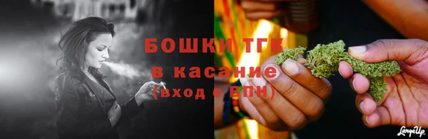 индика Зерноград