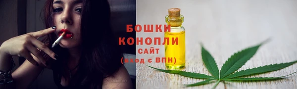 индика Зерноград
