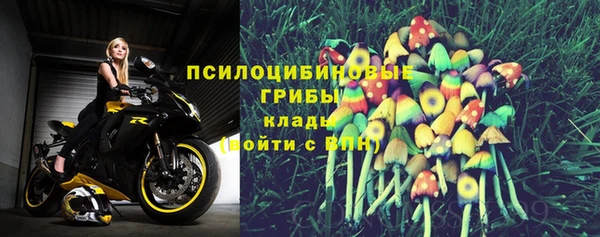 мяу мяу мука Инсар