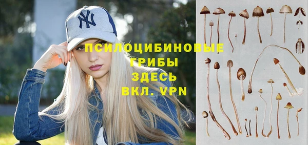 Альфа ПВП Зеленодольск