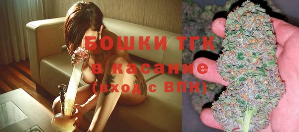 стаф Зеленокумск
