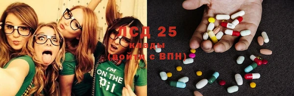 индика Зерноград