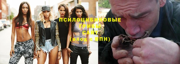 индика Зерноград
